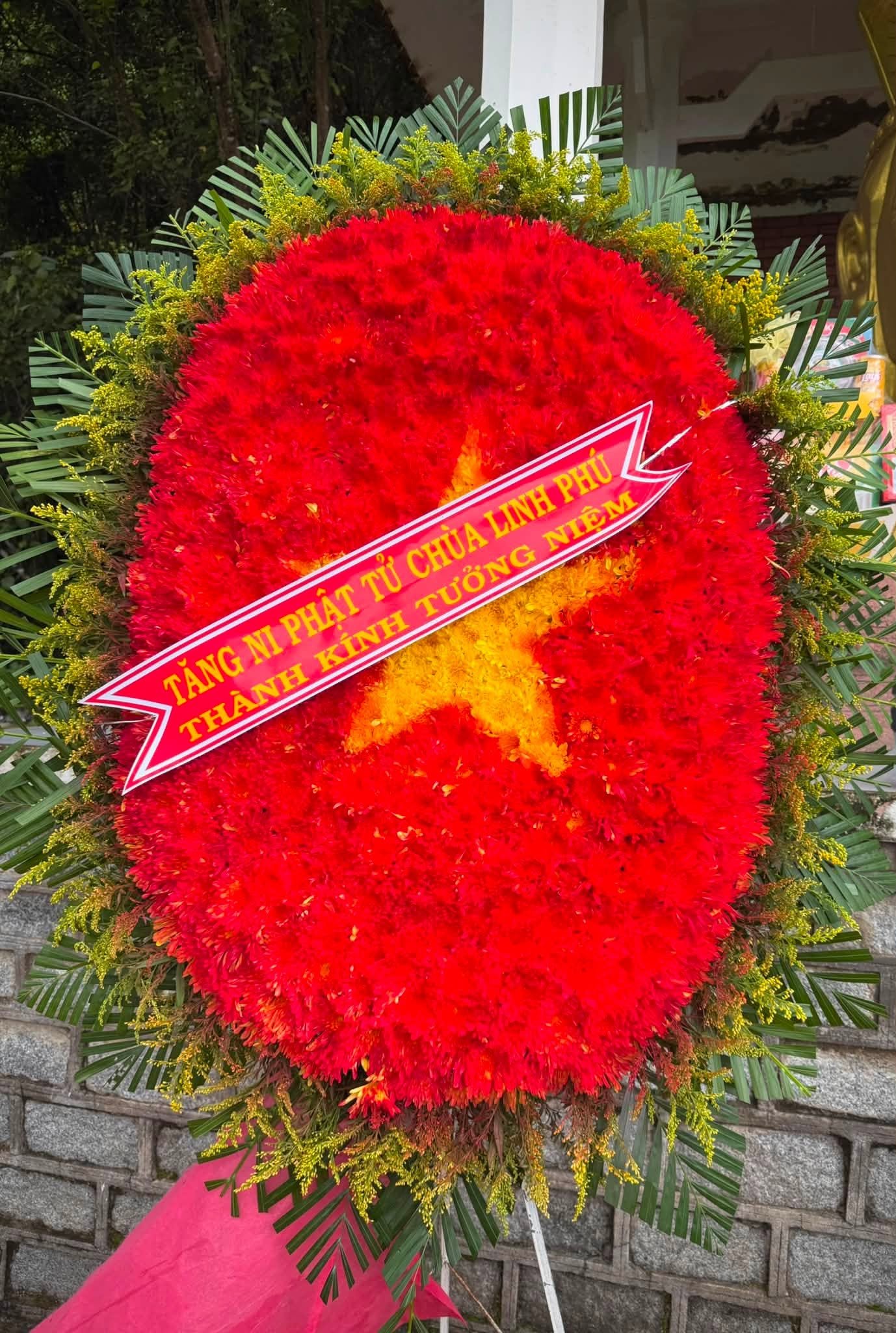 Hình ảnh 16